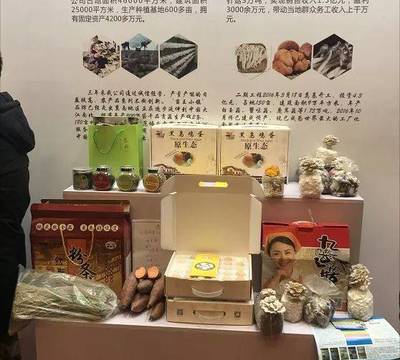 盤點今年,臨西多次亮相國際、省、市展覽會!