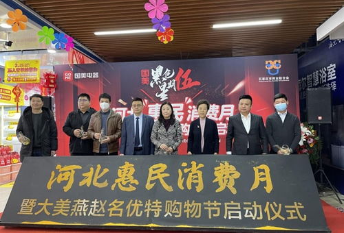 促消費 振經濟 河北國美惠民消費月活動啟動