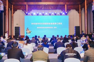 《粽子》國際標準正式發布,助力中國傳統食品走向世界!