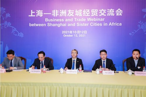上海 非洲友城經貿交流會 在線舉行