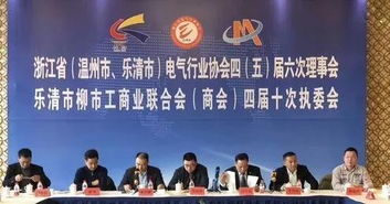 電氣大咖聚首柳市 共謀經濟發展新篇章——商業聯合會專題研討會紀實